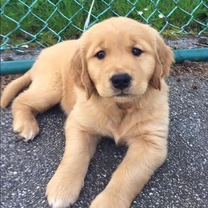 Meet your Posher, Robyn